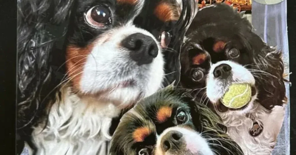 Can a Custom Beauty and the Beast Animal Collage Become a Meaningful Gift?