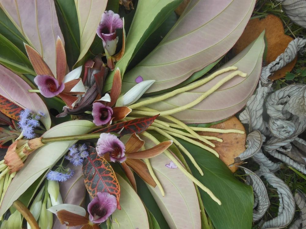 Nature Collage