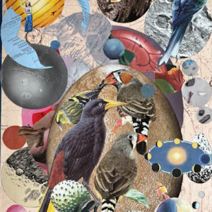 Birds in Hawaii with lung motifs.
