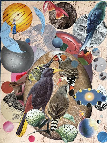 Birds in Hawaii with lung motifs.