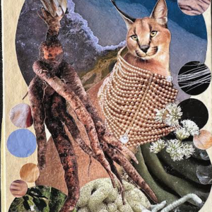 Lynx in Pearls