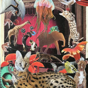 Theater of the Absurd with Serval