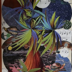 Song of Hawaii with Turtles and Outrigger Canoe