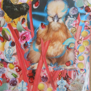 Moon Chicken in Persia