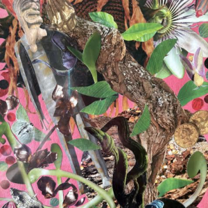Jack and the Beanstalk (Treasures of the Giant)