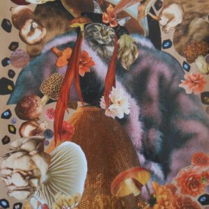 Cat in Fur Coat with Fungi