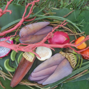 Coral with Banana Blossoms