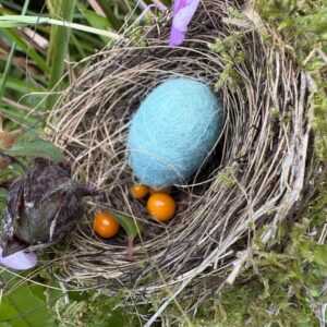 Bird Nest with Felt Egg