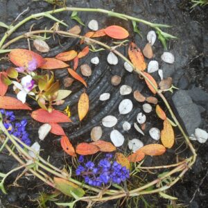 Vines, Leaves and Flowers on Lava Rock