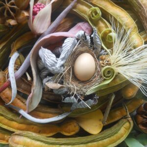 Egg in Nest on Ice Cream Bean Pod Mandala