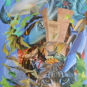 King of the Cats with Enormous Crown