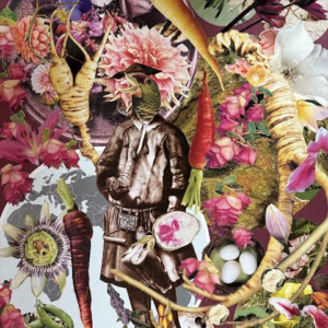 Carl Linneas, the father of modern botany